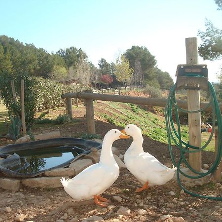 Comarquinal Bioresort Penedes San Quintín de Mediona Zewnętrze zdjęcie