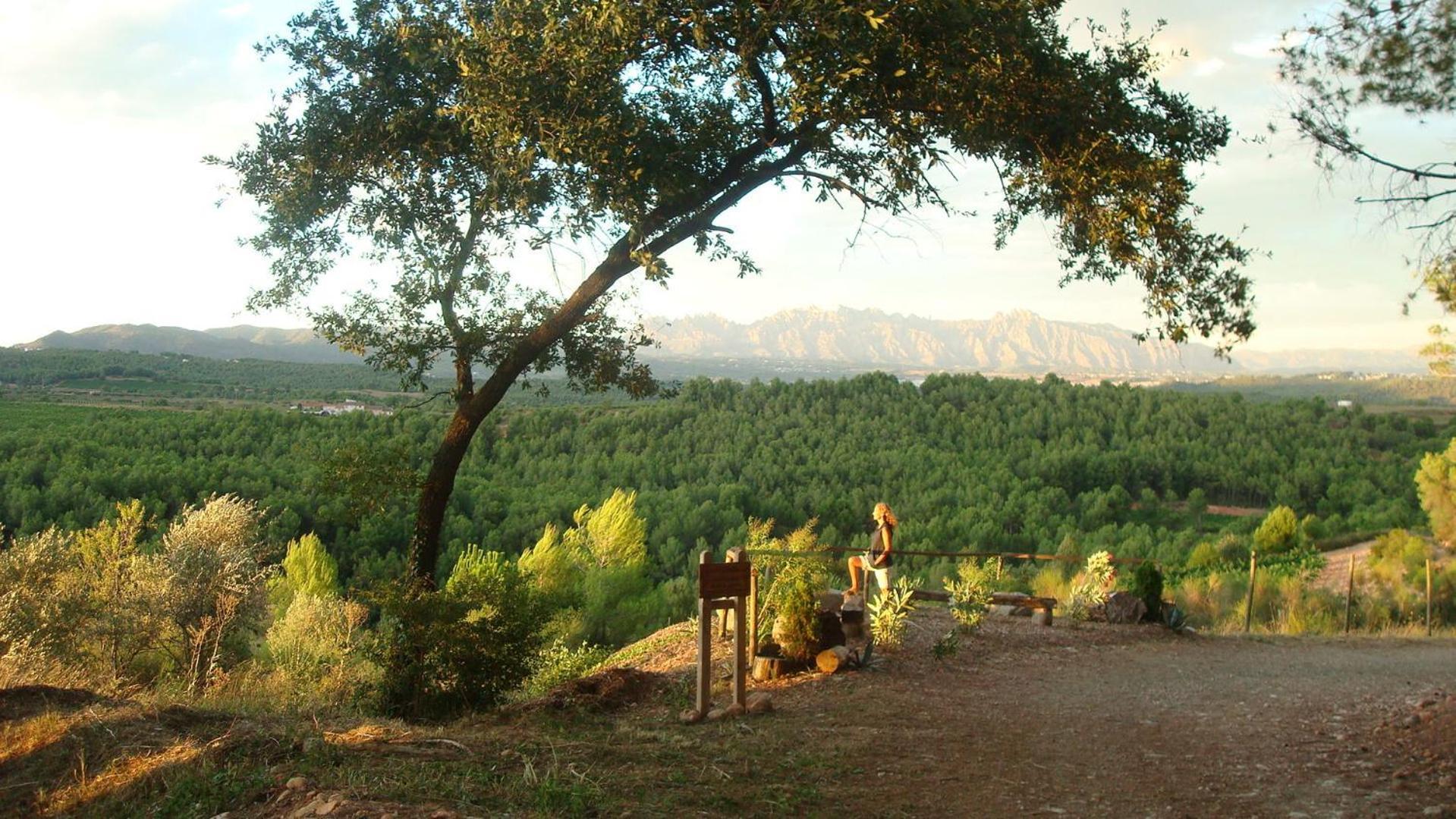 Comarquinal Bioresort Penedes San Quintín de Mediona Zewnętrze zdjęcie